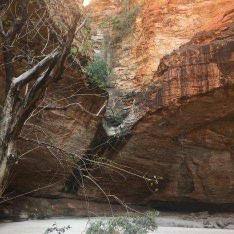Jour 92: le grand canyon australien