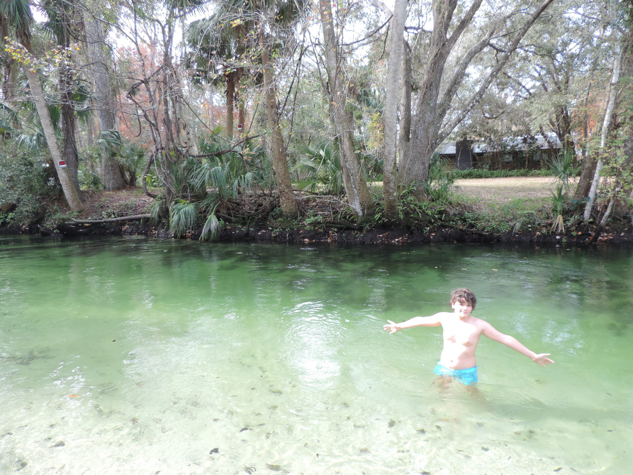 Jour 3 Crystal River / Homosassa spring / Orlando / Kissimee Les