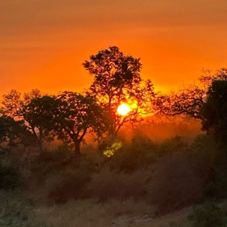 Jour 16: arrivés au Swaziland (Eswatini)