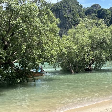 Jour 79: excursion bateau sur les 4 îles