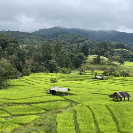 jour 103: retour à la case départ à Chiang mai