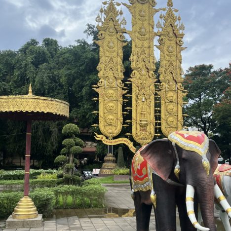 jour 103: retour à la case départ à Chiang mai