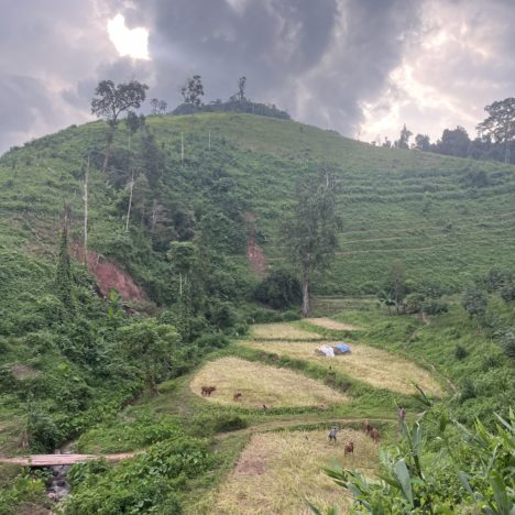 Jour 110: arrivée au Laos