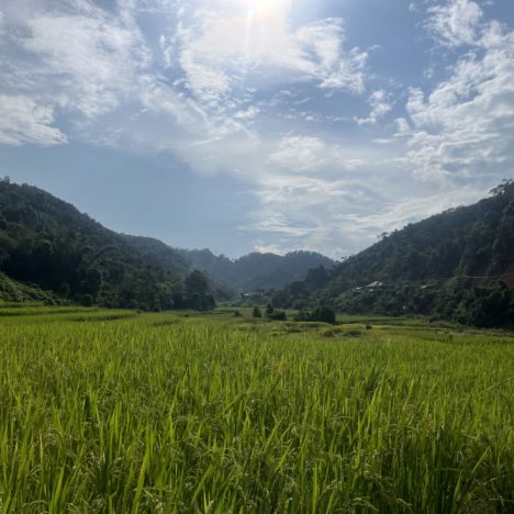 Jour 111: trek dans la jungle chez les khmu