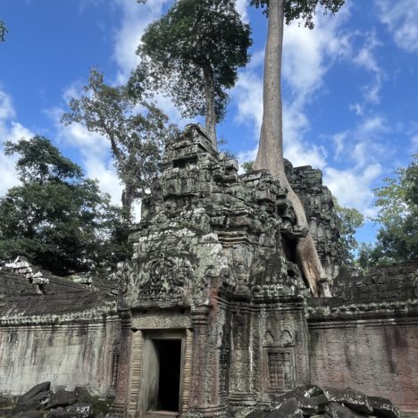 Jour 138: on arrive au Cambodge