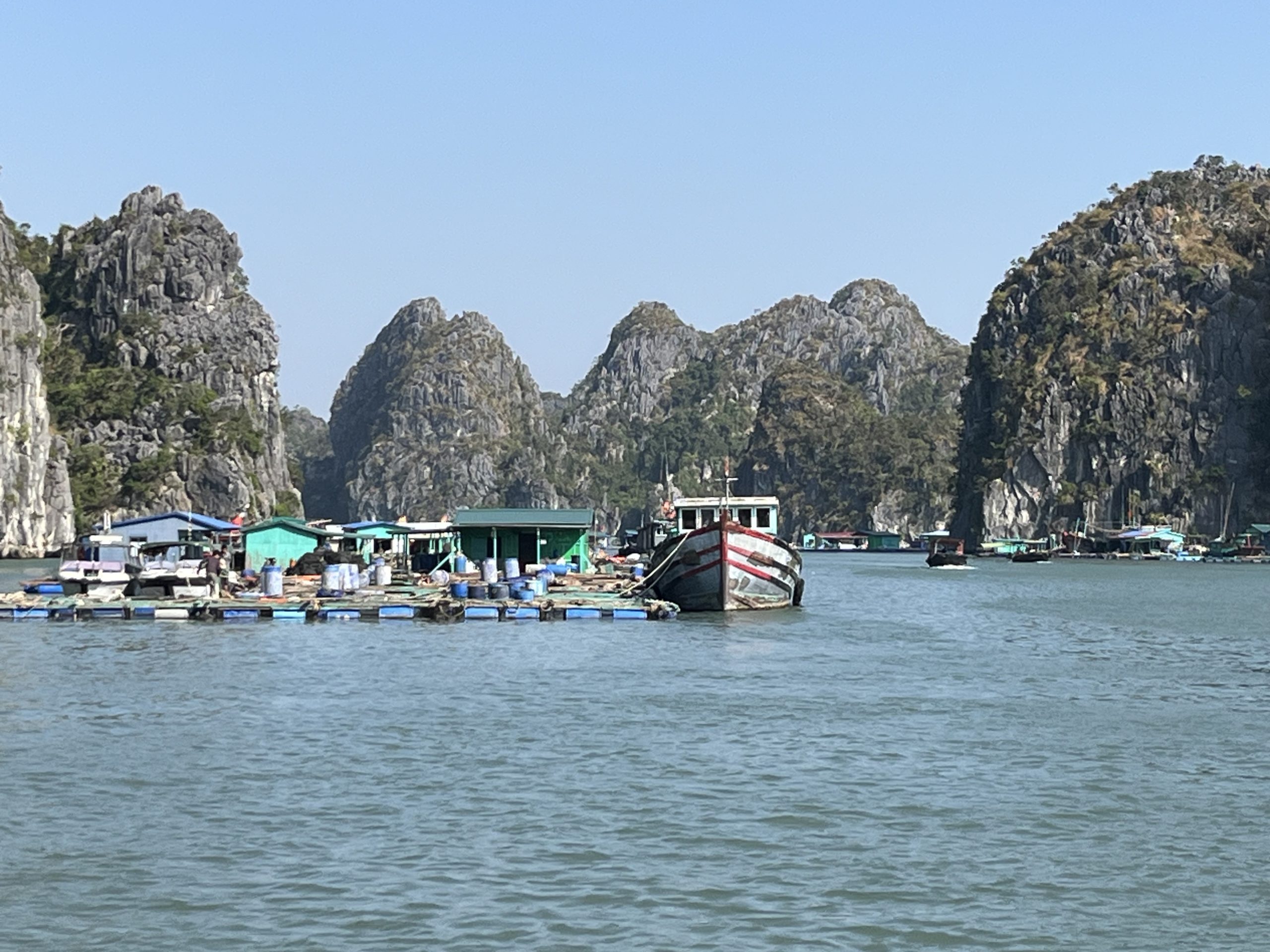 Jour 180: cat ba, la baie de Lan Ha